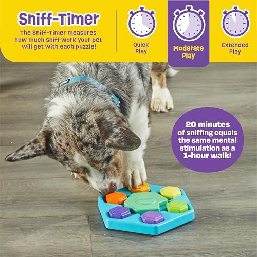 Brightkins Spin & Seek Hexagon Treat Puzzle