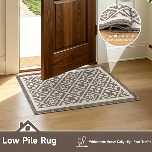 Ileading Indoor Door Mat 2x3ft, Absorbent Muddy Mats for Dogs, Low-Profile Entrance Welcome Mat with Non-Slip Rubber Backing, Washable Runner Carpet for Hallway,Entryway,Kitchen(Brown)