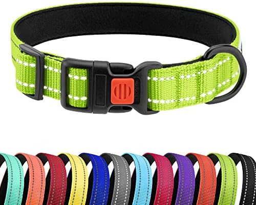 Reflective Dog Collar, Quick-Release Buckle (Lime Green, 10-13 Inch)