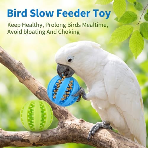2 Pack Foraging Toys for Birds, Small Animals Slow Feeder