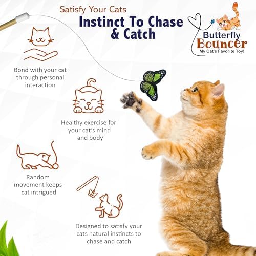 Butterfly Bouncer - Butterfly on Wire Bounces to Mimic a Real Butterfly's Flight - Interactive Cat Toy - Cats/Kittens Play Catch Chase Exercise-Comfortable Bamboo Handle-Stocking Stuffer-Made in USA
