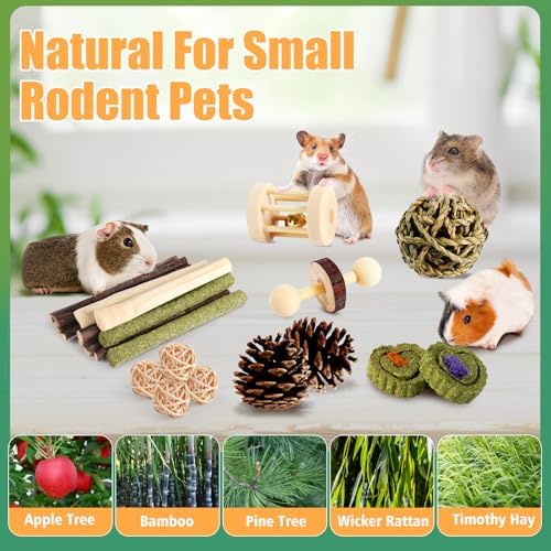Kyouki Hamster Toys Guinea Pig Toys Set with Tunnel, Chewable Apple Wood & Natural Timothy Hay - Enrichment Chew Toys for Small Animals - 24+ Cage Accessories for Teeth Care & Boredom Relief (Green)