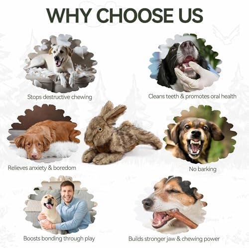 ALL FOR PAWS Classic Rabbit Squeaky Doy Toy, Bunny Dog Toy for Small Medium Breed, Puppy Fetch Toy with Squeaker, Plush Chew Dog Toy, Brown Rabbit -Small Size