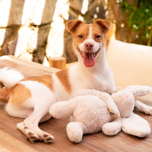 Best Pet Supplies Bunny Buddy Squeaky Plush Dog Toy - Beige, Small
