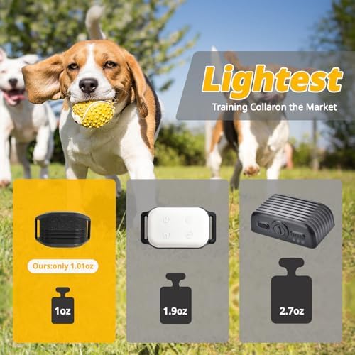 Shock Collar for Small Dogs, Electric Dog Training Collar with Remote,Tailored for 5-30lbs Small Dogs,3 Training Mode Beep, Vibration, Safe Shock(0-9) Waterproof, 1900ft Range (Black, Small)