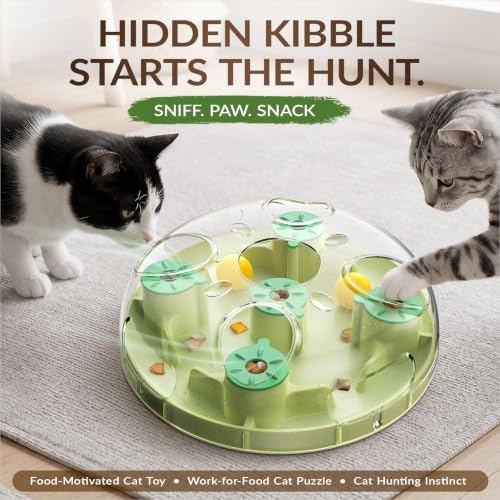 KADTC 2-in-1, Cat Puzzle Toy & Foraging Ball, Treat Hunt for Indoor Cats