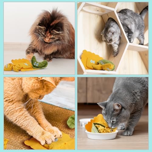 Pawsible 3 Pack Ravioli Catnip Toys for Indoor Cats, Interactive Cat Toys Filled with 100% Organic Catnip, Plush Chew Toys for Kittens, Teething Soft Catnip Toys for Cats