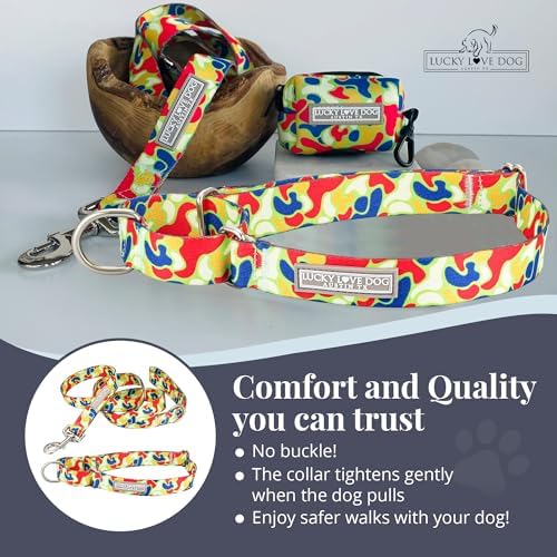 Lucky Love Dog Martingale Collar & Leash Set No Slip Cute – Oscar, Large