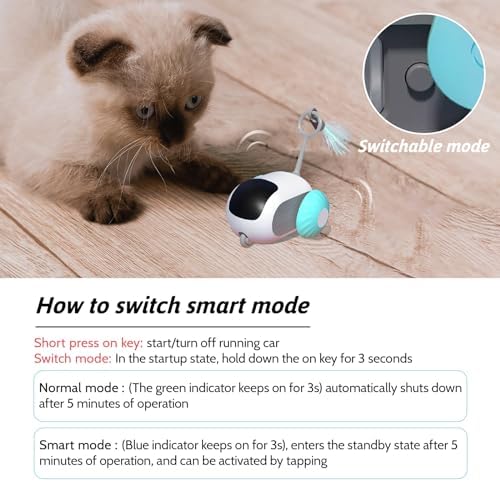Remote Control Smart Cat Toy, Interactive Cat Toys for Indoor Cats