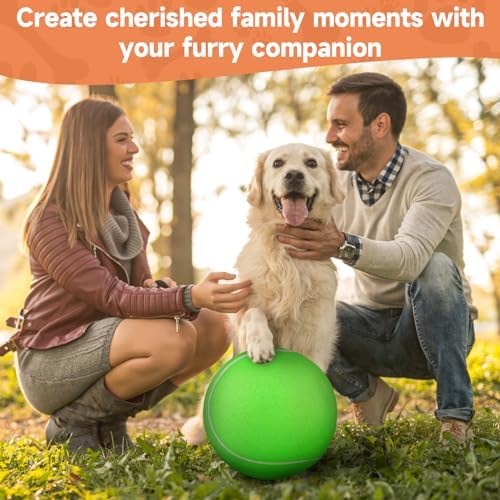 QDAN Tennis Ball for Dogs, 9.5 Inch Large Big Dog Toys Herding, 9.5 Inch