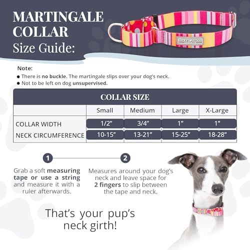 Lucky Love Dog Martingale Collar for Medium Dogs No Slip – Molly, Medium