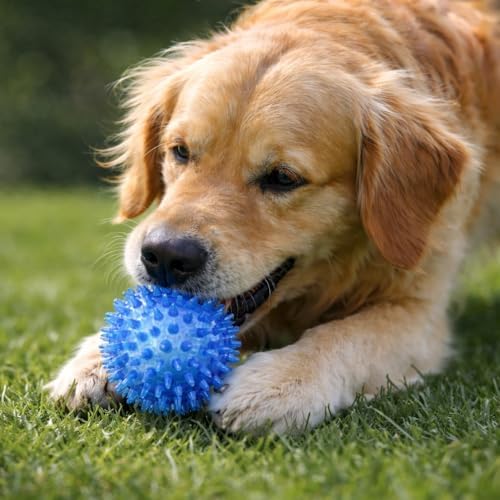 Cutie's PetBox Squeaky Rubber Spike Toy Ball for Small Dogs, 3-Colors Blue Green Yellow (2.5 Inch, Multi-Pack)