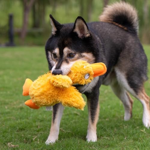 Best Pet Supplies Squeaky Plush Dog Toy - Ducky Doodle, Medium | Soft Plush, Squeaks & Crinkles, Perfect for Moderate Chewers, Toss & Fetch Play, Stress & Anxiety Reliever, Ideal Gift Toy
