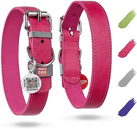 WAUDOG Long Lasting Leather Dog Collar for Large Dogs, Medium & Small Dogs - Adjustable Classic Puppy Collars for Large Breed Dogs - Boy & Girl Dog Collars with Durable Buckle, D-Ring & QR Dog Tag