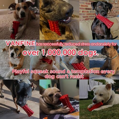 Indestructible Squeaky Dog Toy – Tough Rubber Chew Toy for Aggressive Large Dogs, Durable and Safe for Interactive Play