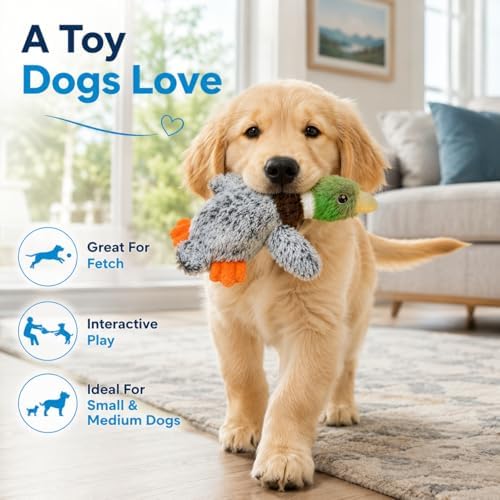 Duck Dog Toy Plush Squeaky Toy for Small and Medium Dogs, Soft Interactive Stuffed Animal for Indoor Play
