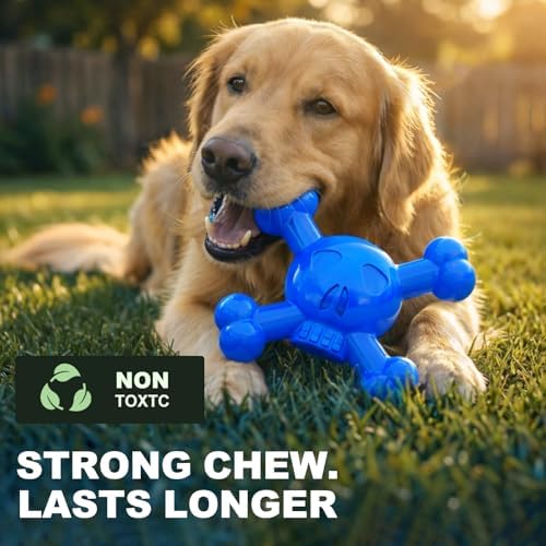 Dog Chew Toys for Aggressive Chewers, Durable Nylon Tough Chew Toy for Small & Medium Dogs, Bacon Flavor Skull Dog Toy to Keep Dogs Busy Indoors, Helps Reduce Boredom