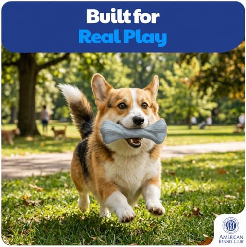 American Kennel Club Training Dog Chew Toy, Large PP Bone Dog Toy, Durable Dog Toy for Moderate Chewers, Beef Scented for Long-Lasting Engagement, Supports Dental Health, Blue