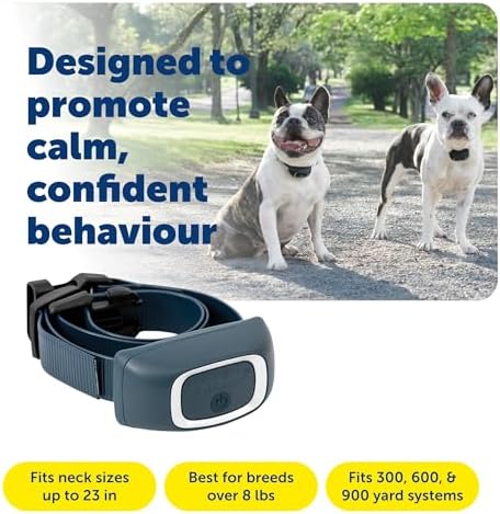 PetSafe Lite Add-A-Dog Receiver Collar, Waterproof, Tone / Vibrations / 15 Levels of Lighter Static Stimulation for Timid Dogs for 8 lb.