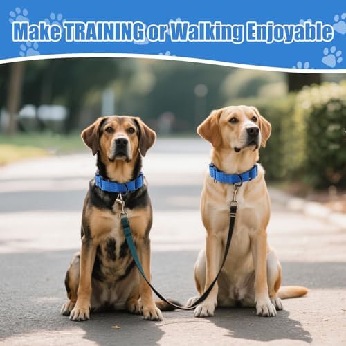 Martingale Dog Collar, Reflective No Pull with Buckle, Blue, L