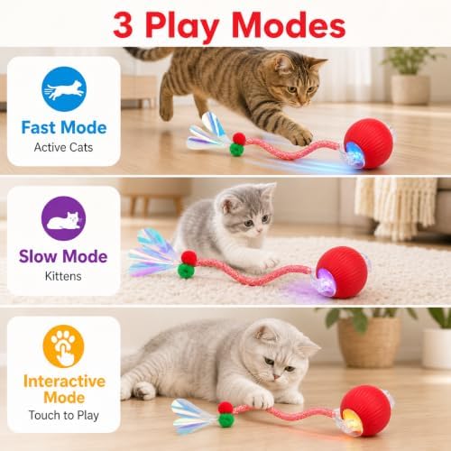 Interactive Cat Toy Ball, Smart Moving Pet Toy for Cats & Dogs | cat toys for indoor cats | speedy tail 2.0 cat toy|cat teaser toy|interactive motion activated cat toys| stimulating cat toys