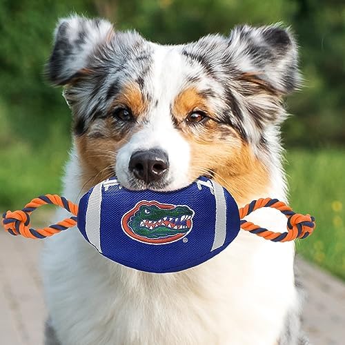 Pets First NFL Unisex NFL Nylon Football