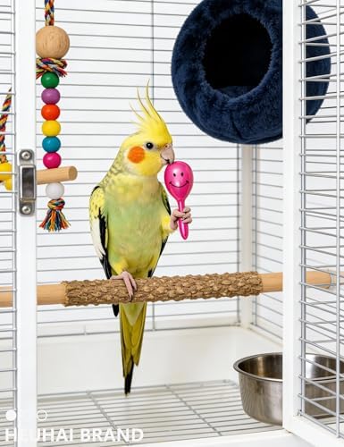 10-Pack Bird Toys – Colorful Fun