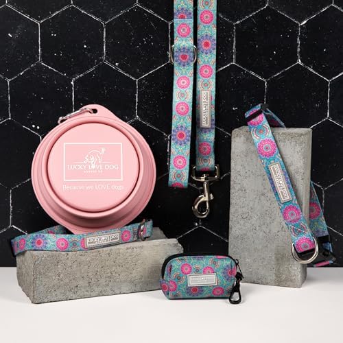 Lucky Love Dog Martingale Collar for Medium Dogs No Slip – Clara, Medium
