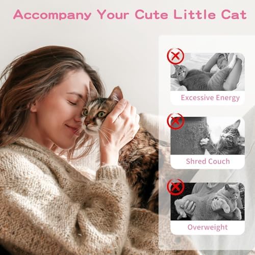 Pawaboo Cat Feather Wand Interactive Toy, 2 Feathers + 1 Wand with Bell