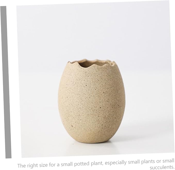 Ciieeo Bird Nest Vase Eggshell Planter Ceramic Flower Pot with Rattan Nest 4.33 X 4.33 X 3.34 in for Succulents Cactus Bonsai Hydroponic Display Desk Windowsill Balcony Home Decor