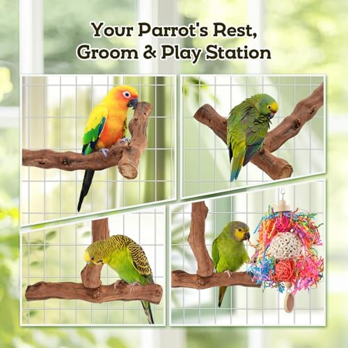 Bird Toys, Parakeet Foraging Toys, Hanging Chewing Toys with Natural Wooden Perches, Bird Cage Accessories, Suitable for Parakeets, Cockatiels, Budgies, Lovebirds & More