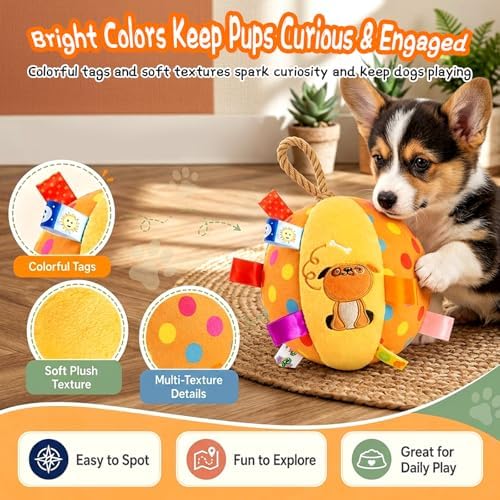 Squeaky Play Balls for Dogs - 6-inch Soft Puppy Ball with Bell