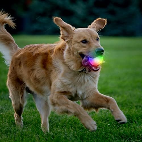 Nite Ize GlowStreak Wild LED Ball, Bouncy Motion Activated Light Up Dog Ball for High Energy Dogs, Disc-O