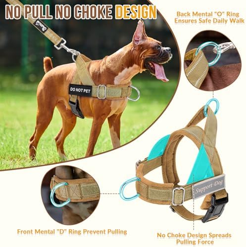 Lukovee No Pull Dog Harness and Leash Set, Soft Padded for Large Medium Dog