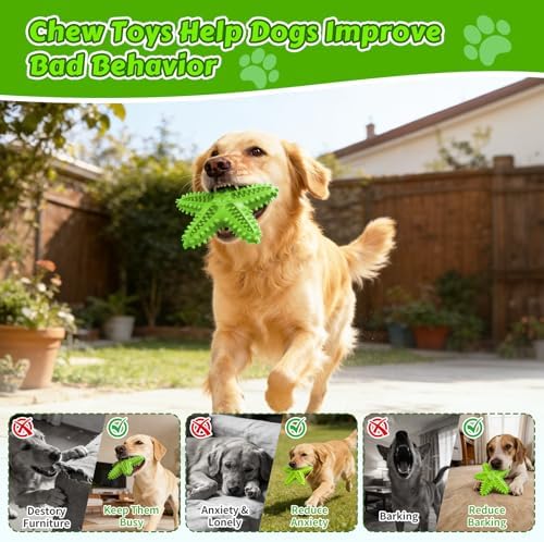 Dog Chew Toys Interactive Tough Floating Squeaky Toy