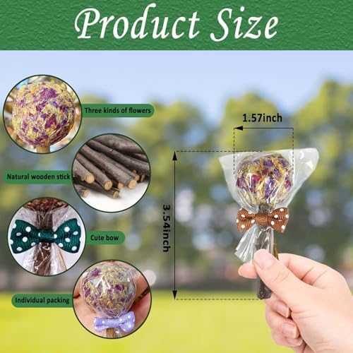 kathson 30PCS Rabbit Timothy Hay Treats Sticks,Interactive Bunny Lollipop Chew Sticks,Natural Guinea Pigs Chewing Treats Molar Teeth Toys for Small Animals,Chinchilla,Hamster,Gerbil