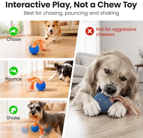 Potaroma Interactive Rolling Dog Ball, ETPU Touch Activated Motorized Toy