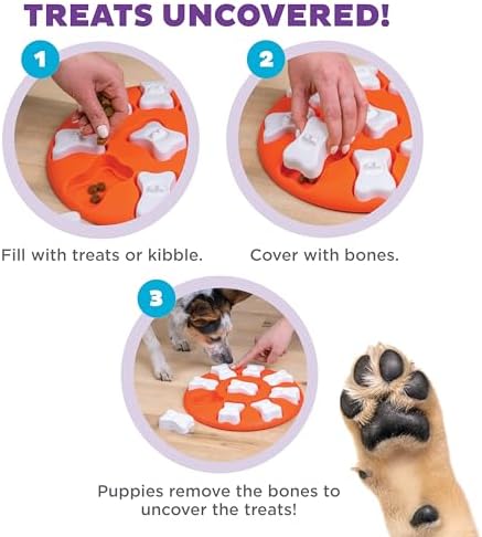 Outward Hound Nina Ottosson Dog Smart Dog Toy Treat Puzzle, Enrichment, 11"