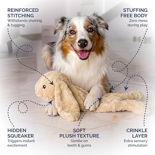 Petlou Stuffingless Floppy Plush Dog Toys with Durable Squeak and Crinkle Paper Dog Chew Toys for Large Dogs and Medium Dogs (TAN, 19 Inch Floppy Rabbit 3)