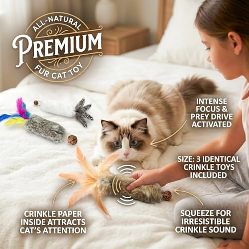 Cat Toy Rabbit Fur Feather 3pcs Gall Fruit Treat Kitten Kick Indoor