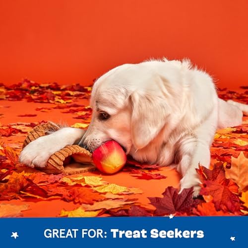 BarkBox Them Apples 3-in-1 Interactive Plush Dog Toy | Squeaky Dog Chew Toy with Crinkle Layers - For Small Dogs and Puppies