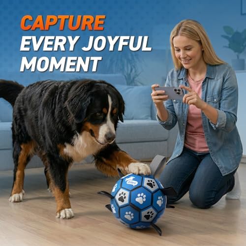 QDAN Extra Large Dog Toy Soccer Ball, Durable Dog Balls with Straps, 9 Inch