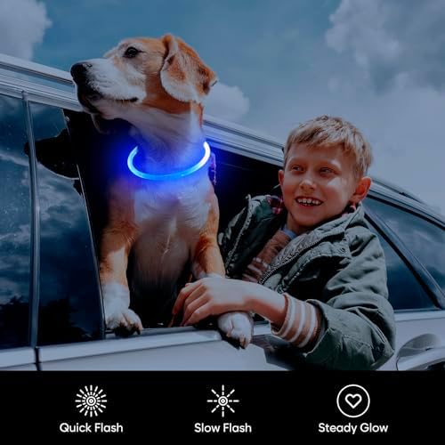 Flashseen LED Dog Collar, USB Rechargeable Glow Lighted up Collar, Blue