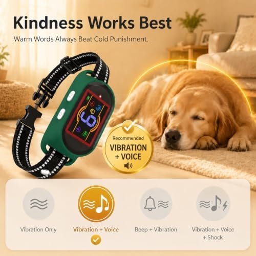 Voice Memo Anti Bark Collar, Smart Dog Bark Collar, Grey | Custom Voice Recording, 4 Humane Training Modes, 6 Adjustable Sensitivity Levels, Rechargeable, for Small Medium Large Dogs