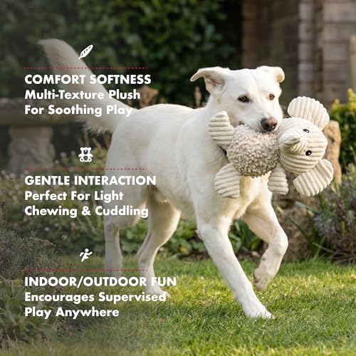 petlou Durable Natural Nubby Plush Dog Toys with Squeaker and Crinkle Paper in Multi-Size (Natural Elephant - M, 10 Inch)