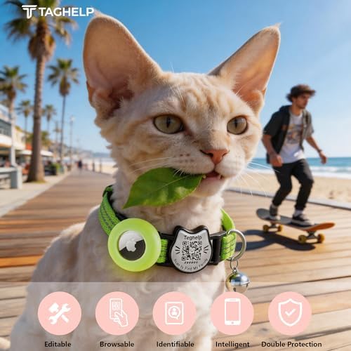 Cat Collar with AirTag Holder, QR Code Tag and Bell (Neon Green)