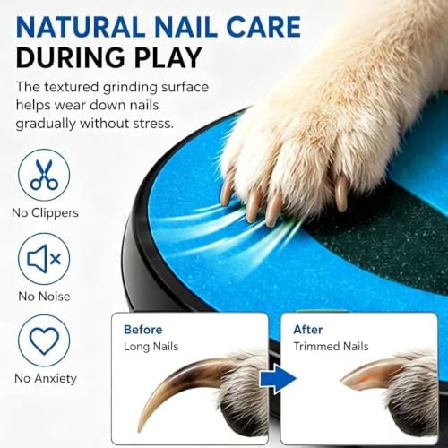 Dog Nail Scratch Board with Treat Boxs, RotatingTreat-Dispensing Paw Scratcherwith Replaceable Sandpaper & 4Nano Anti-Slip Tabs for SmallBreeds, Easy-Clean PET Material