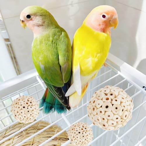 Bird Hoop Swing and Parakeet Toys,Natural Sola Balls,Shredding Hanging Toy