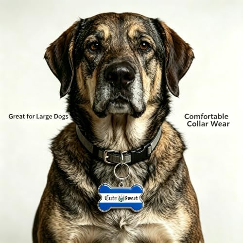 HSIAHOU Custom Pet ID Tags, Personalized Dog Tag Cat Tag (Salvador)