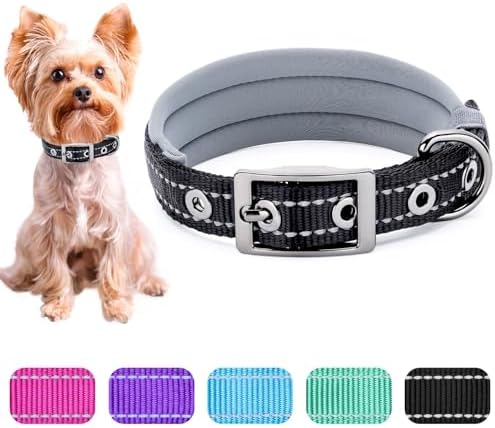 Segarty Reflective Small Dog Collar for Male Dogs Neck 10.8-14in, Adjustable Wide Soft Comfortable Breathable Neoprene Padded Nylon Collar Heavy Duty Metal Buckle for Puppy Small Breeds (S, Black)